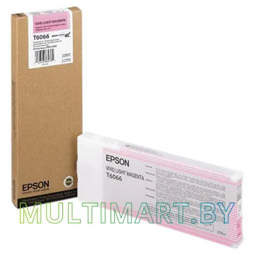 Картридж Epson C13T606600